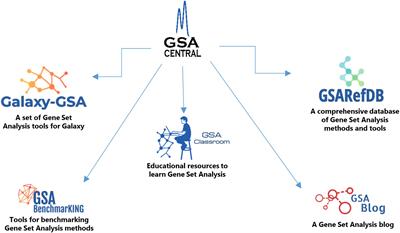 GSA Central—A web platform to perform, learn, and discuss gene set analysis